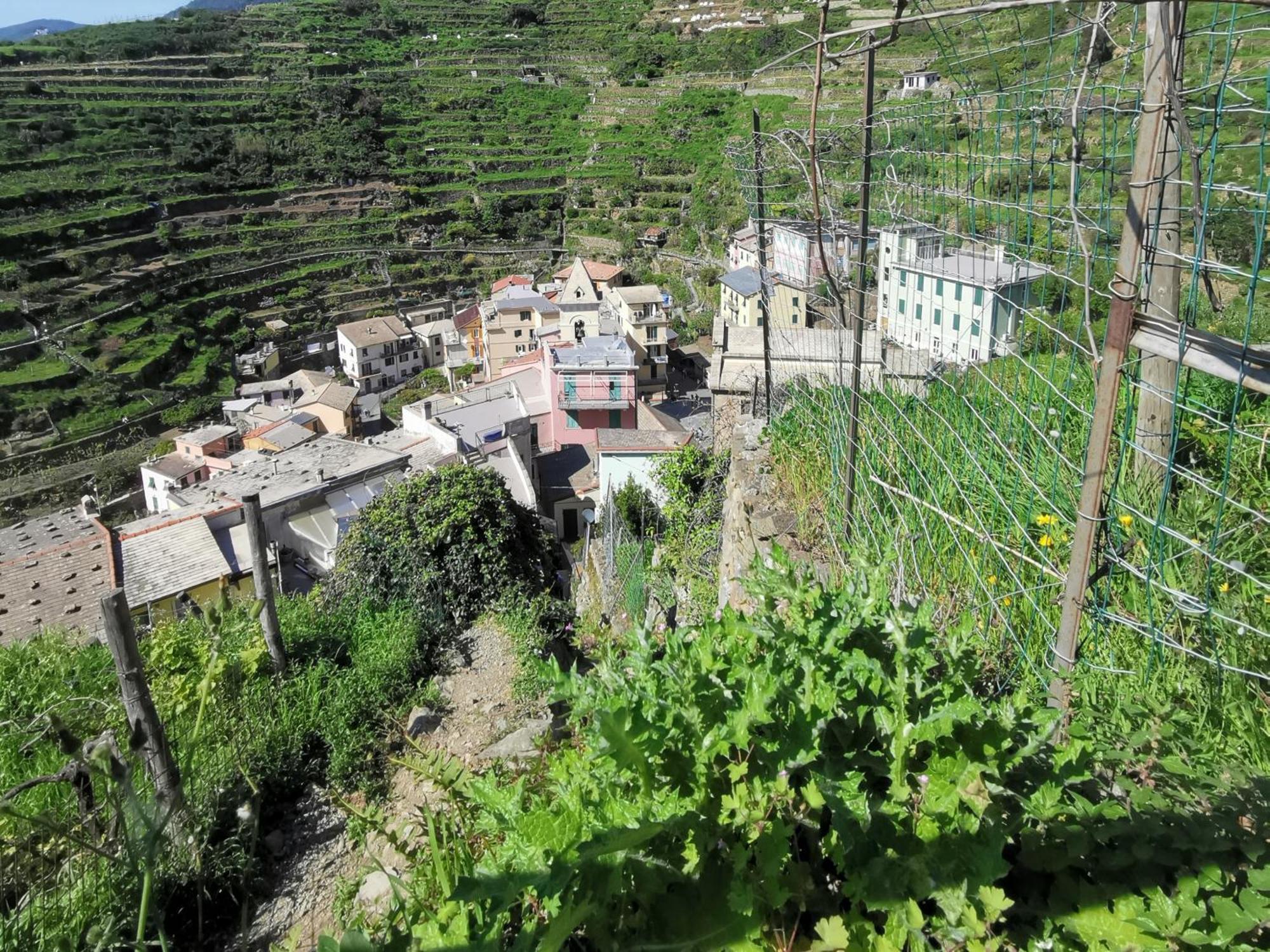 Sentieri Sul Mare Hotell Manarola Exteriör bild